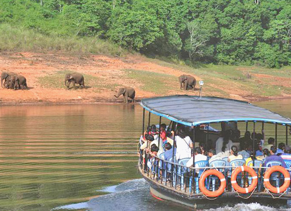 Kerala packages