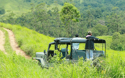 Jeep safari Thekkady