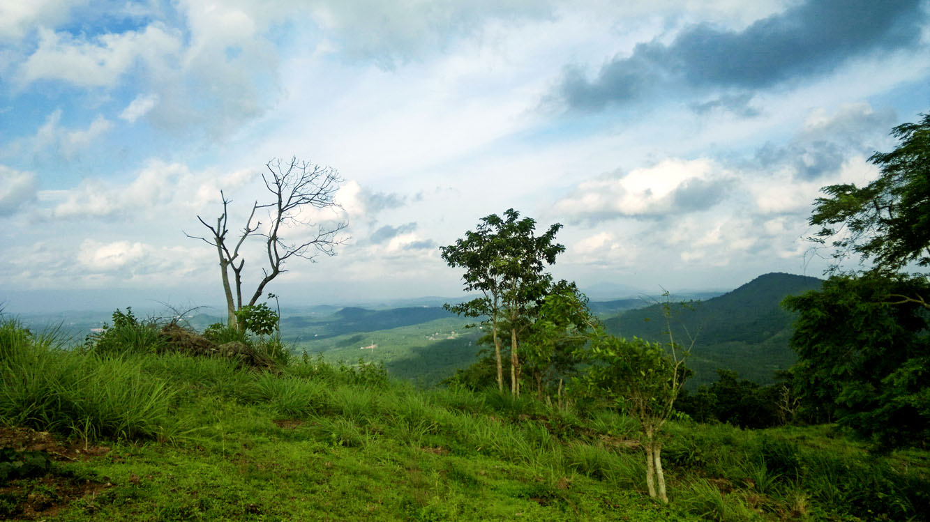 Mini ooty Kerala's own ooty